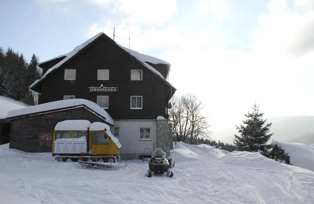 Hotel Hromovka-1