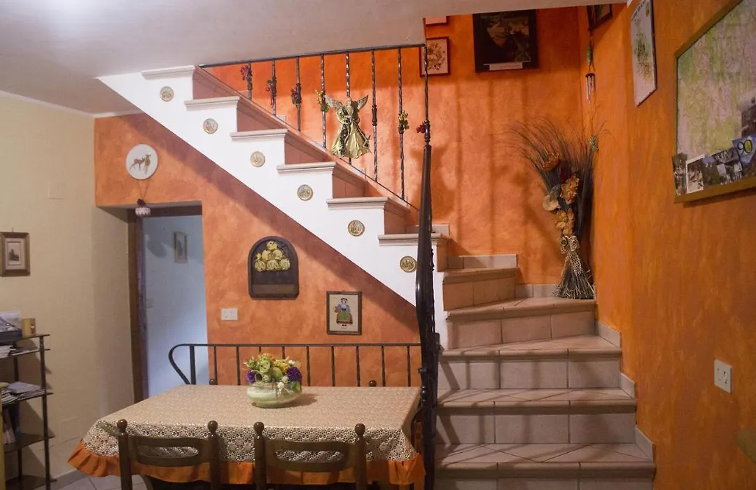 Anticarua B&B-1