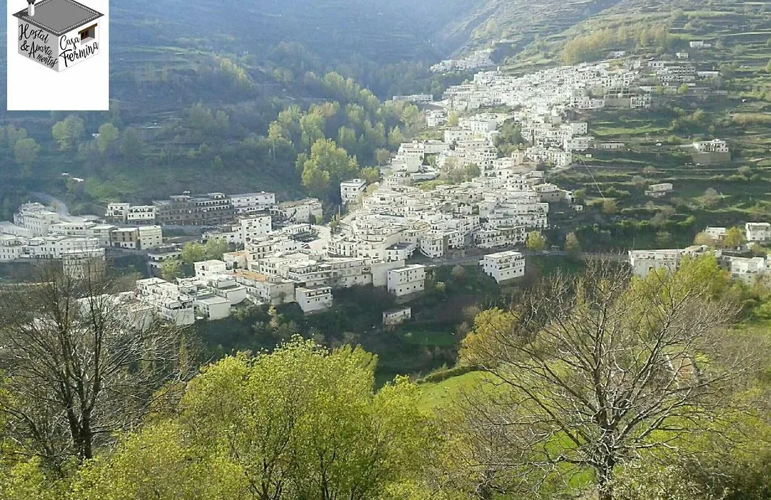 Hostal Casa Fermina-1
