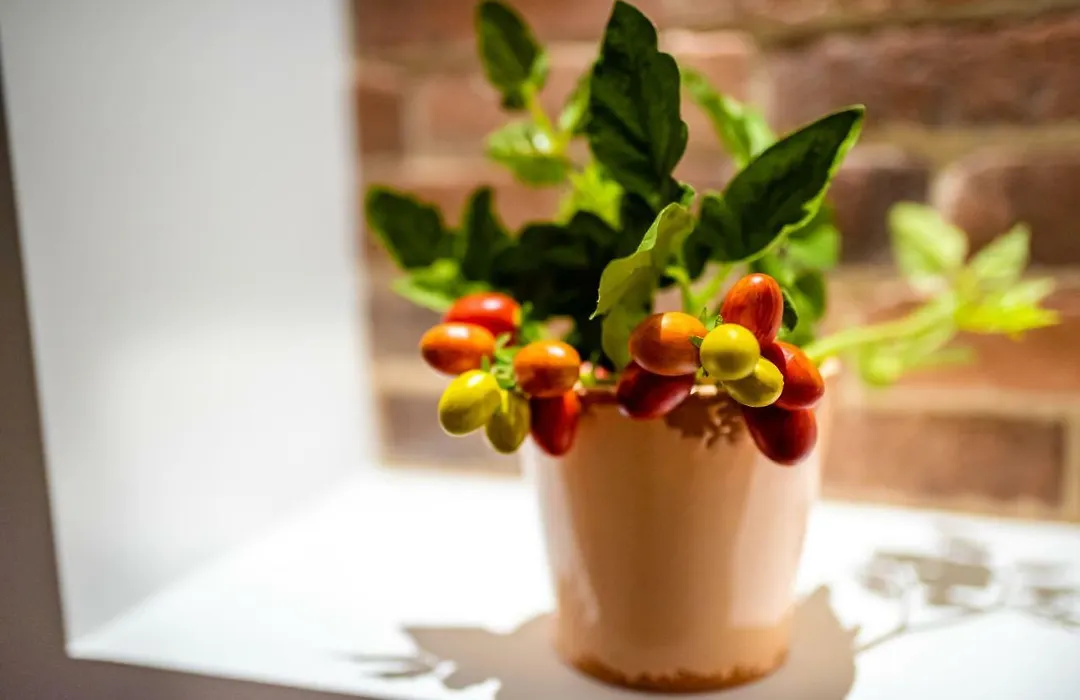 Villa Maria Pia - Boutique B&B & Breakfast Experience-1