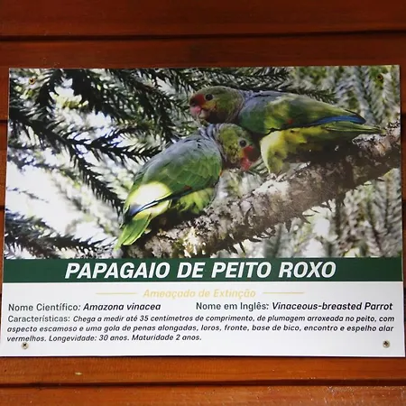 Recanto da Mata Pousada-2