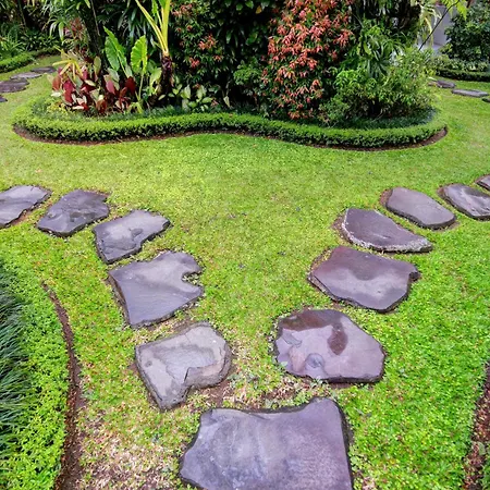 Bali Dream Resort Ubud-3