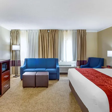Comfort Inn Hoffman Estates - Schaumburg-2