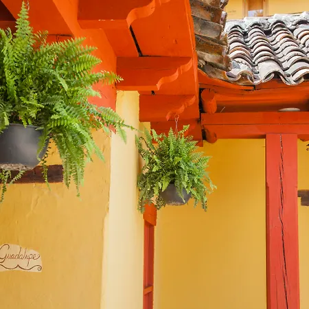 Hotel Adobe & Teja-3