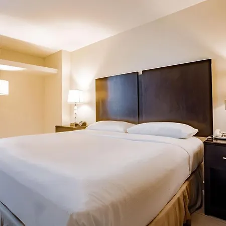 Studio Coliving Hotel-3