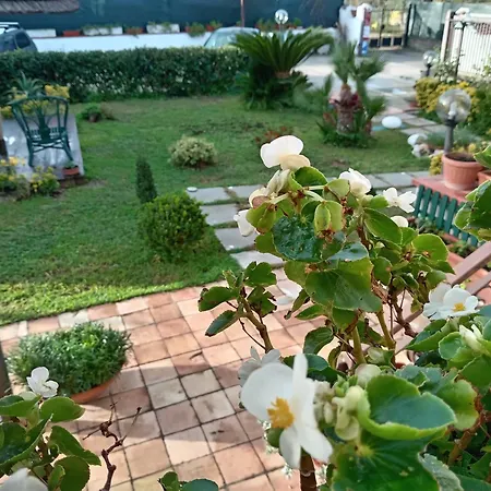 B&B villamariascauri-3