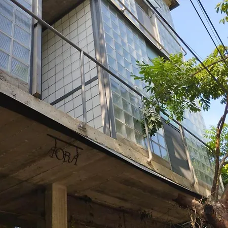 Aora San Pancho-3