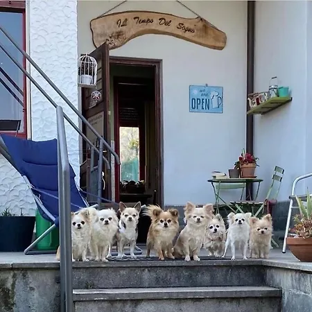 B&B Il tempo del sogno Pet&Breakfast-3