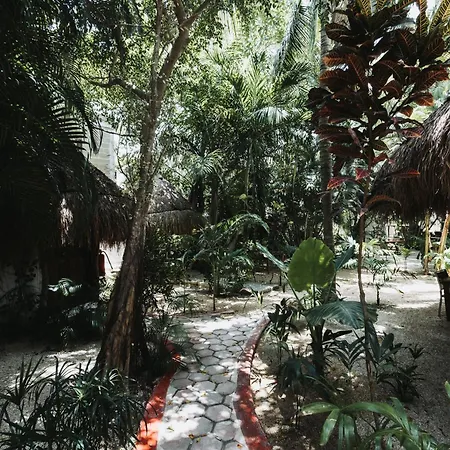 Hotel Casa Barbara Holbox-2
