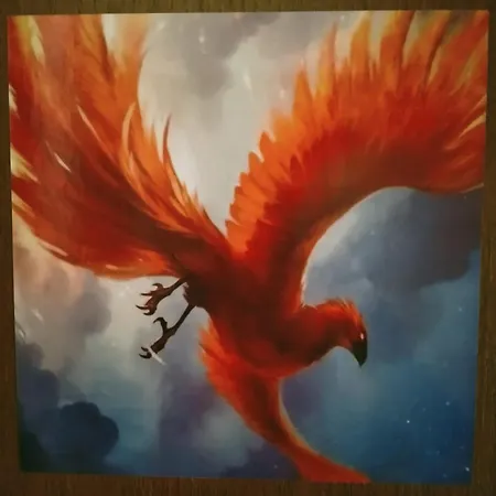 Fenix Rooms-3
