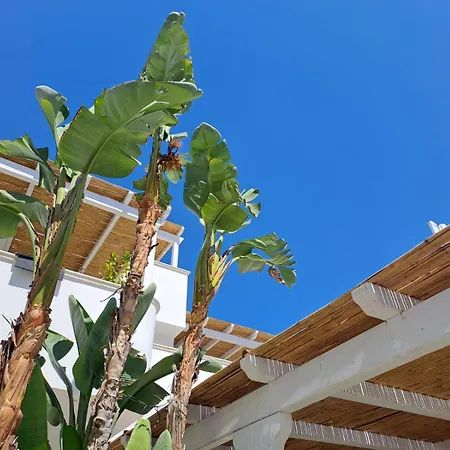 Casa Flora - Bed And Breakfast-3