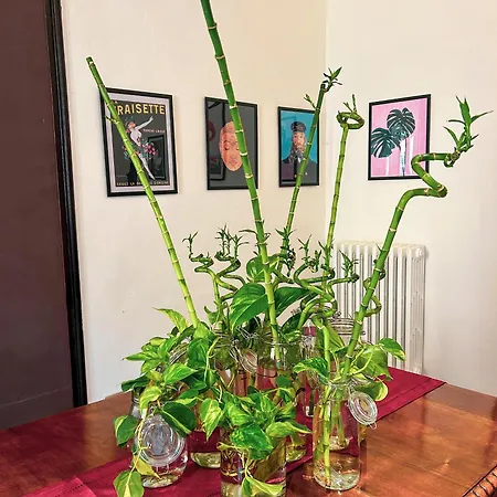 Residenza Studio delle Arti-3