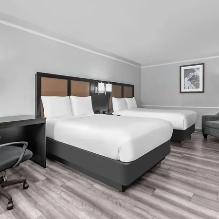 Baymont By Wyndham Austin University Area-2