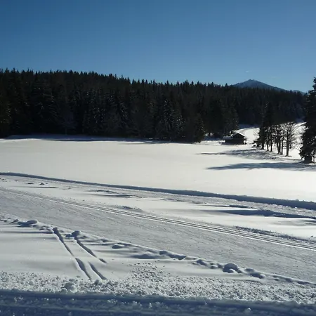 Kraftplatz am Dachstein - Herold - für Ruhesuchende und sportlich Aktive-2