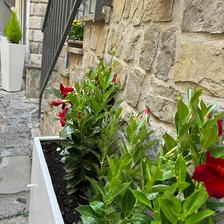 Solimena House 44-2