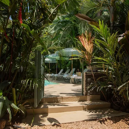 Maison Tropical-2