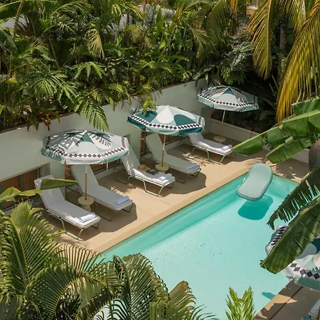 Maison Tropical-3