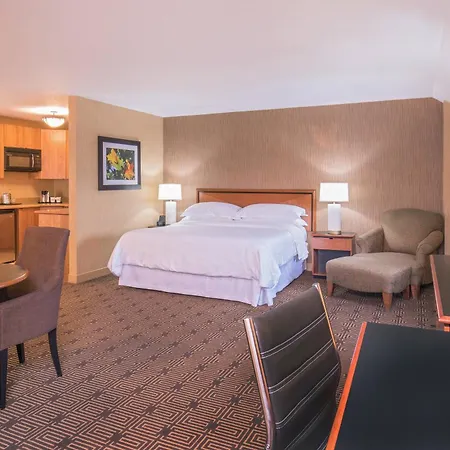 Sheraton Springfield Monarch Place Hotel-2