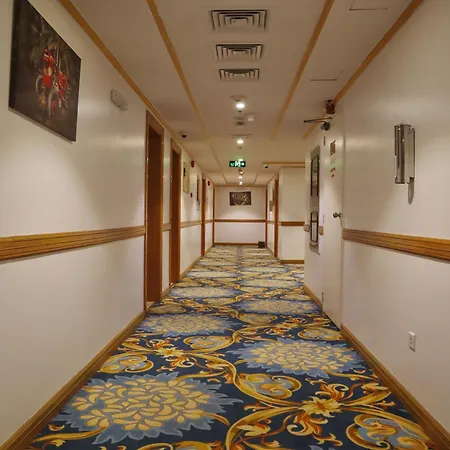Al Ritz Al Madinah Hotel - فندق الريتزالمدينة-2