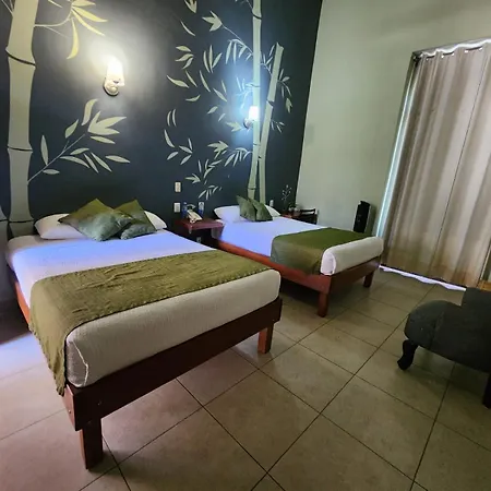 Hotel Plaza Queretaro-3