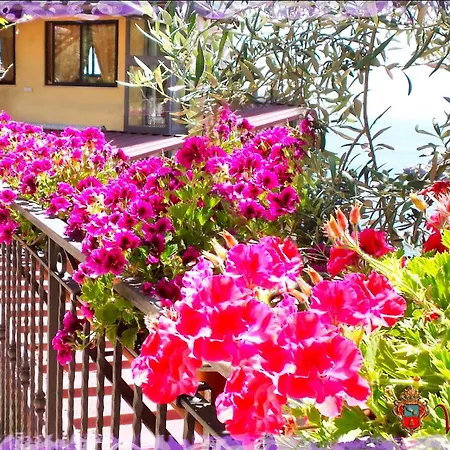 Villa Arianna B&B-2
