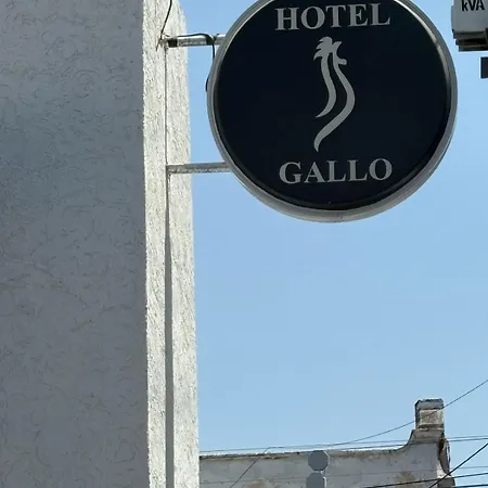 Hotel Gallo-3