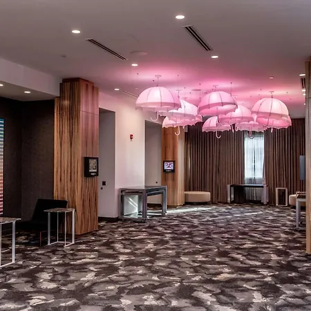 The Rose Chicago, Tapestry Collection By Hilton-2