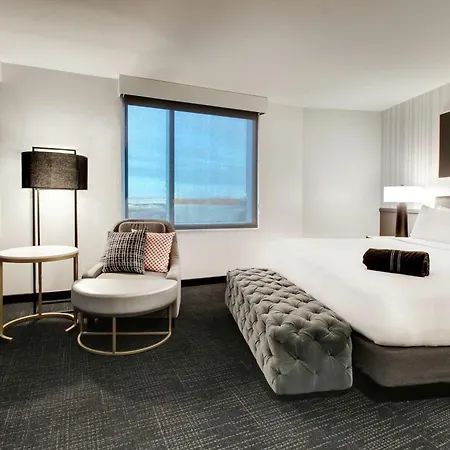 The Rose Chicago, Tapestry Collection By Hilton-3
