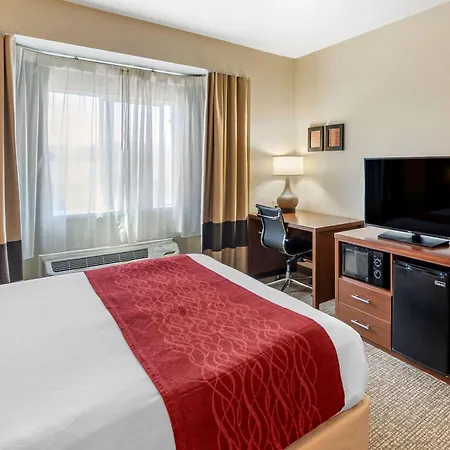 The Atrium Hotel Sfo Airport - Free Shuttle & Breakfast-2