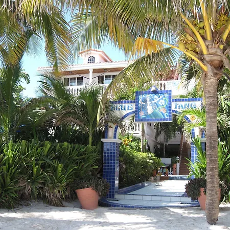 Blue Tang Inn - Beachfront Suites And Pool-2