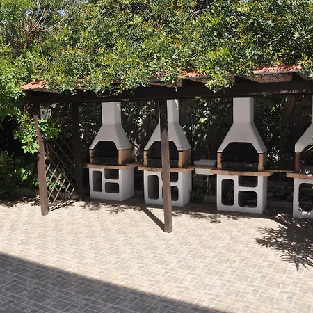 Palm Village-3