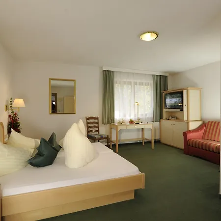 Hotel Alpina Superior-3