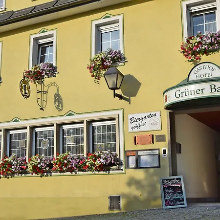Hotel Grüner Baum-2