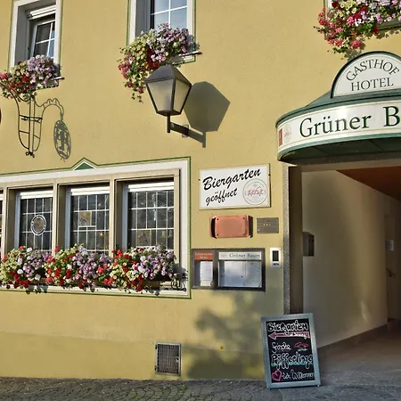 Hotel Grüner Baum-3