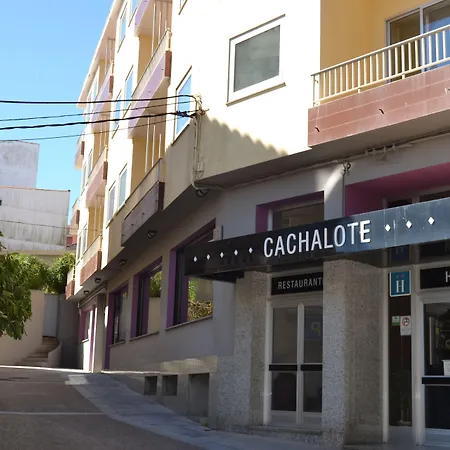 Hotel Nuevo Cachalote-3