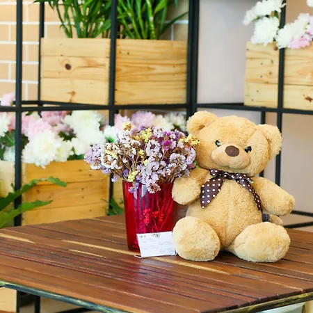 Little Bear'S Home-2