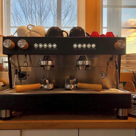Les Pinsons des Rives-3