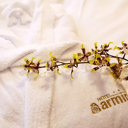 Hotel Armin-3