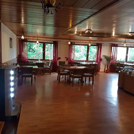 Siegerland-Hotel Haus im Walde-3