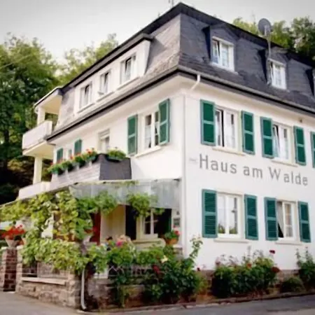 Pension Haus am Walde Brodenbach, Mosel-2