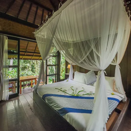 Ubud Sari Health Resort-3