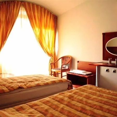 Hotel Lebed-3