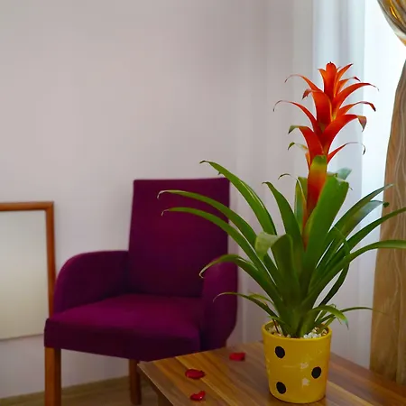 Hotel Ergun-3