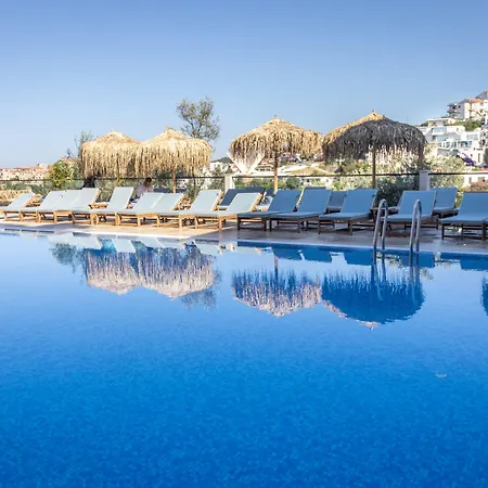 The New Hotel Mediteran - Villa Edition-2