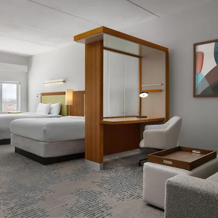 Springhill Suites By Marriott Charleston Mount Pleasant-2
