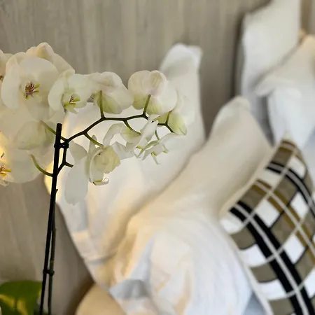 Hotel Provencal-3