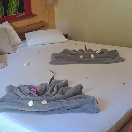 Samara Palm Lodge-2