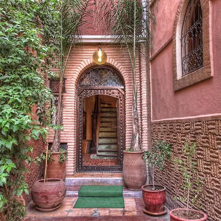 Riad Elizzi-3