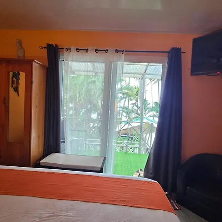 Hotel La Palapa-3