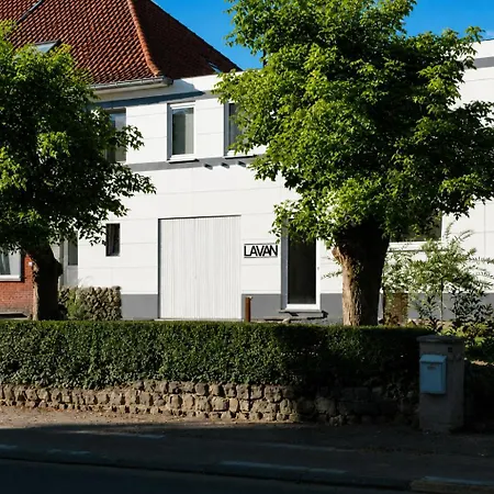 Lavan-2